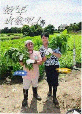 一起去露营 户外旅行综艺封面